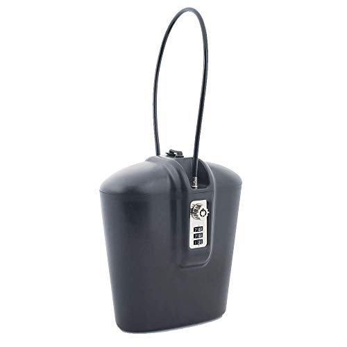 Portable safe