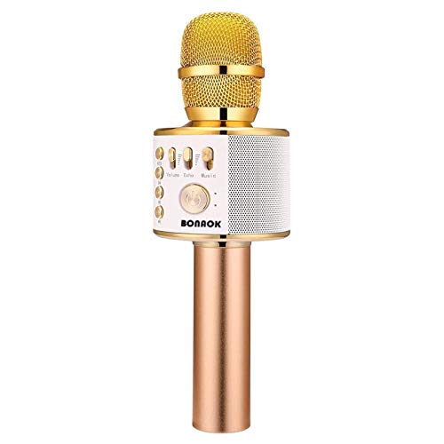 karaoke microphone