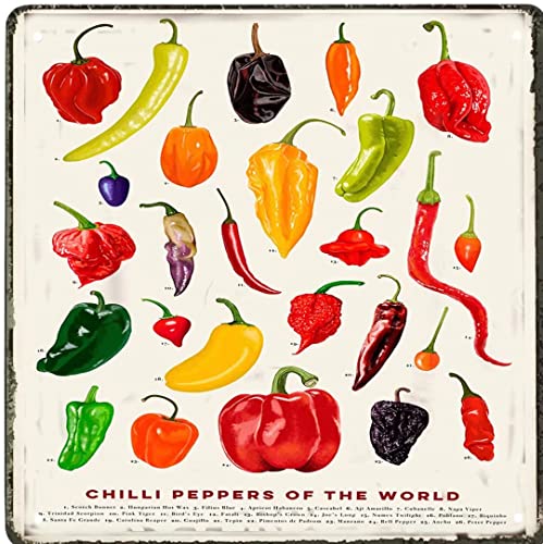 Chili pepper vintage metal tin sign