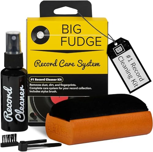 Vinyl record cleaning kit