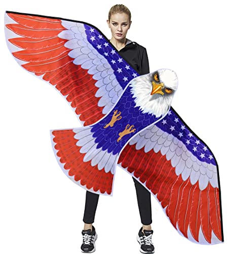 Eagle shaped kite