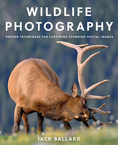 Book cover of 'Wildlife photography: Proven techniques for capturing stunning digital images'