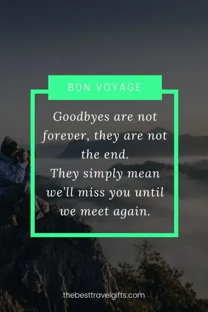 Bon voyage message: Goodbyes are not forever. They are not the end… They simply mean we’ll miss you until we meet again