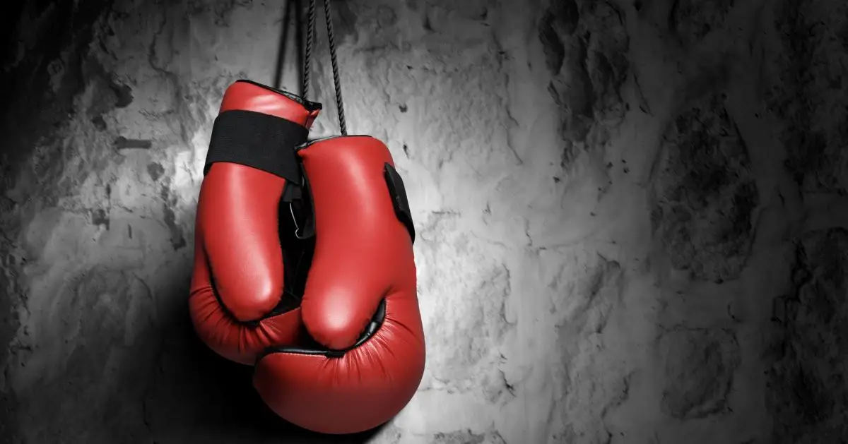 Two boxing gloves
