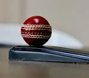 A doorstopper with a cricket ball on top