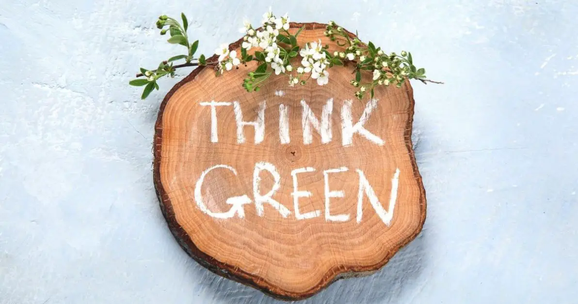Wood with Think green