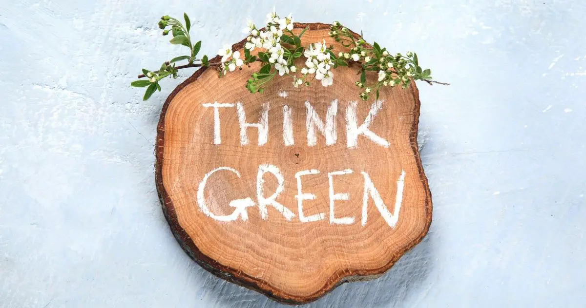 Wood with Think green