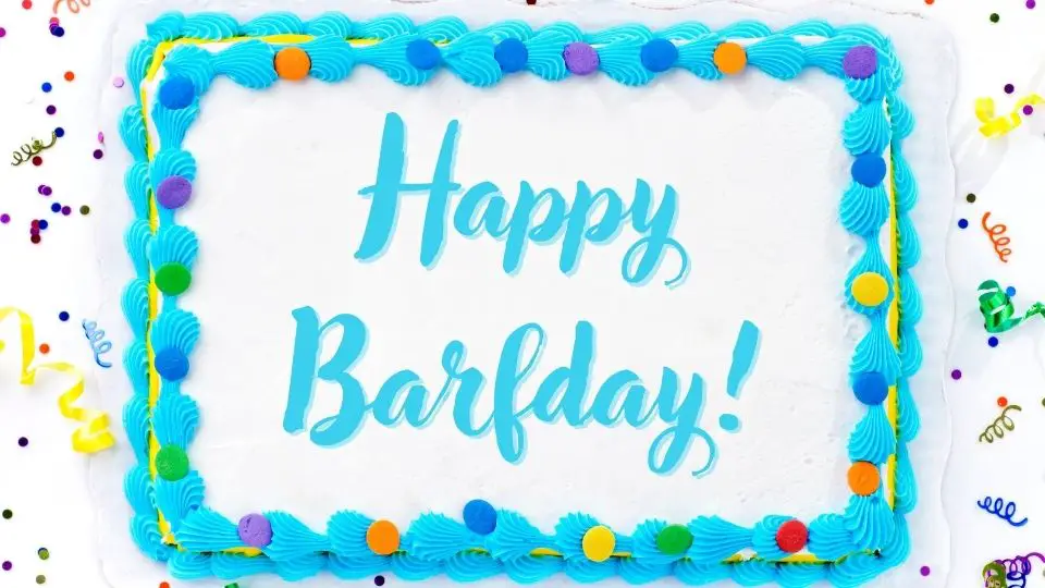 birthday cake with: happy Barfday