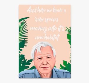 Funny housewarming card with an image of David Attenborough and the text"and here we have a rare species moving into it's new habitat"