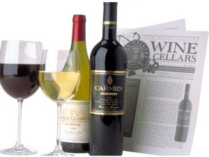 A set of different wine bottles