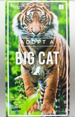 A tiger poster saying adop a big cat