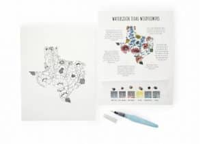 Watercolor kit for the texas national flower