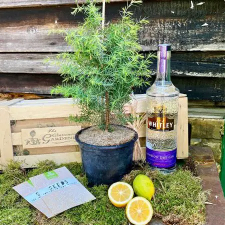 A gardening gift set for gin spices