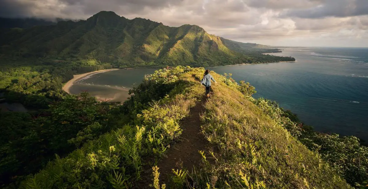 Hawaii island
