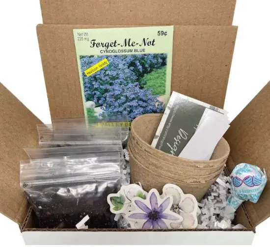 A gift basket with a DIY forget me not package