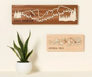 Two wooden wall art pieces inspired by landscaped of US national parks