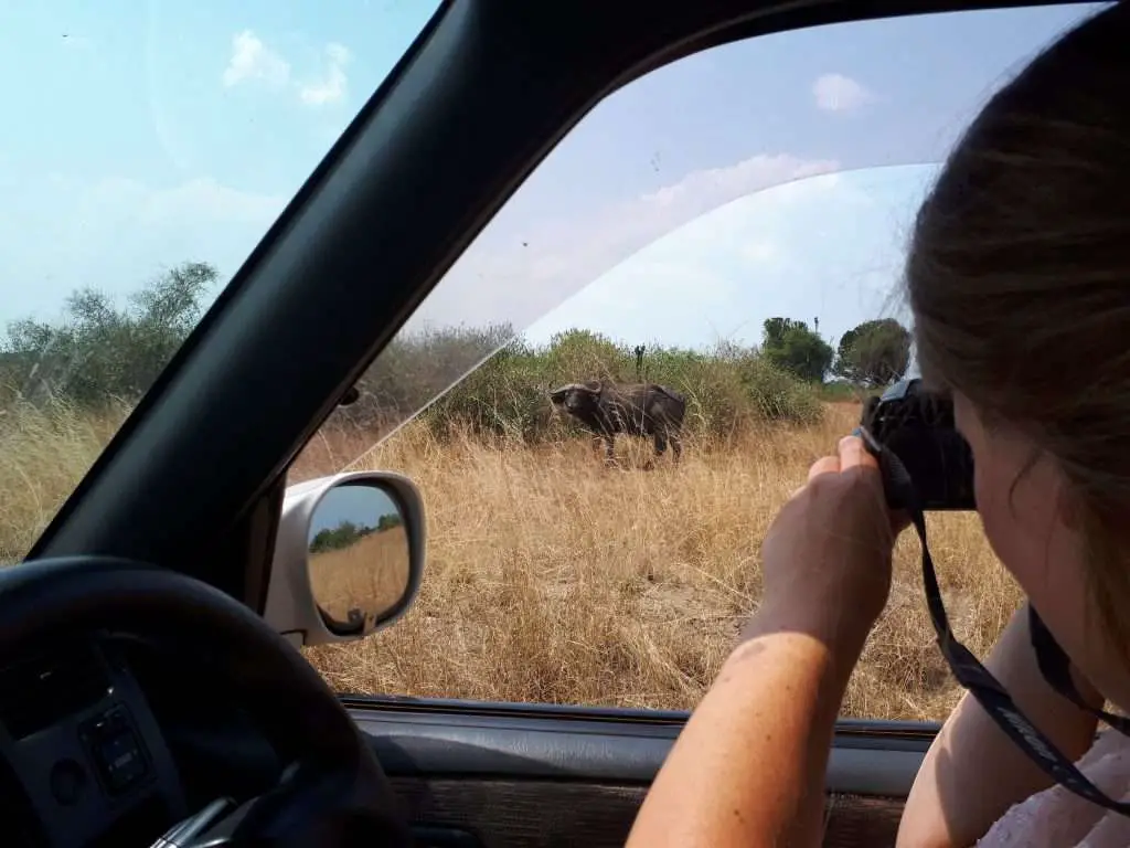 Girl taking photo from car