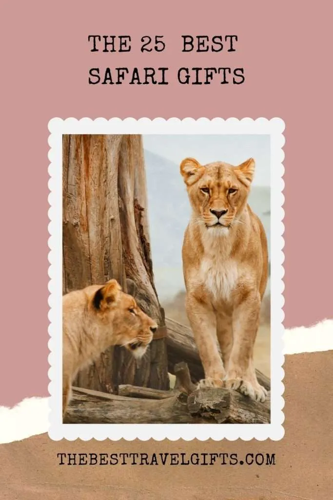the 25 best safari gifts