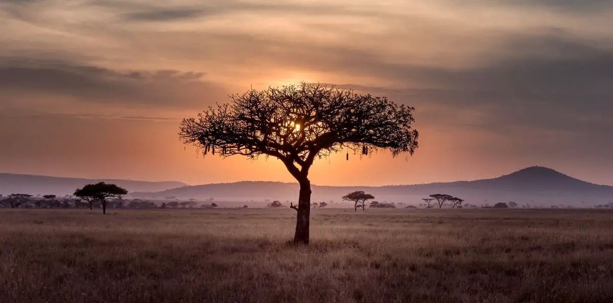 Serengeti, Tanzania